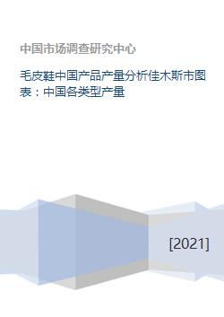 佳木斯市毛皮鞋产品产量分析 中国皮鞋市场结构与区域动态报告